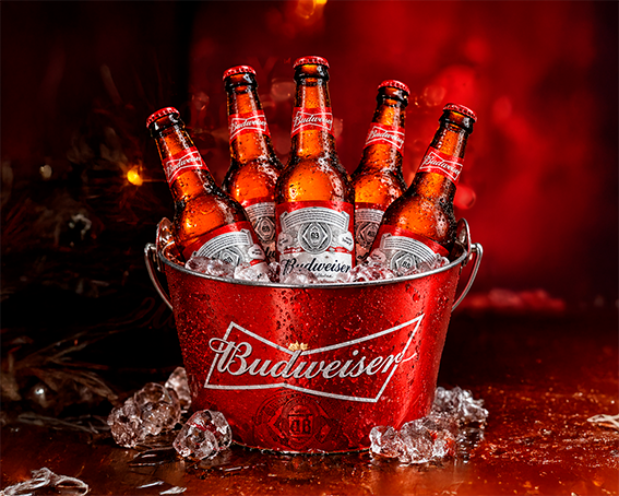 Balde Budweiser (long neck)